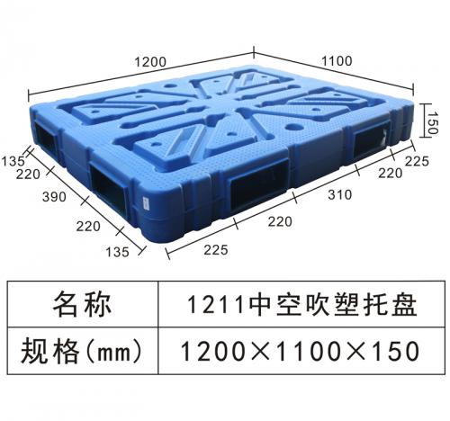 1211 Hollow blow molding tray